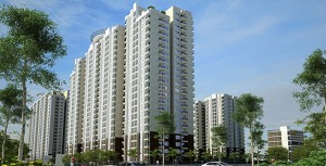 Bangalore-RealEstate 1